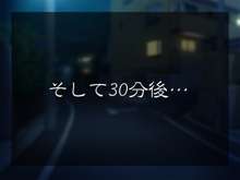 学園期待の副生徒会長を媚薬で露出好き肉便器にしてみた, 日本語