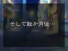 転落性活～頼まれると断り切れない優等生 菜月～, 日本語