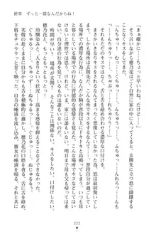 「勘違いしないでよね!アンタの事なんか大好きなんだから!」呪いで本音しか言えなくなったツンデレお嬢様, 日本語