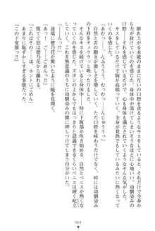 「勘違いしないでよね!アンタの事なんか大好きなんだから!」呪いで本音しか言えなくなったツンデレお嬢様, 日本語