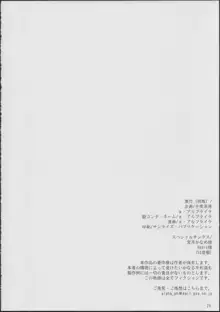 フェイトちゃんが好きすぎておかしくなっちゃう!……なの, 日本語