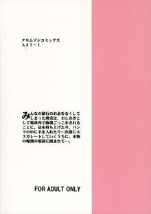 理奈痴漢被害, 日本語