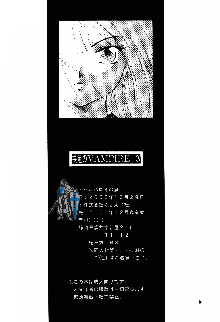 裸足のVAMPIRE 3, 日本語