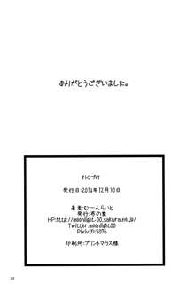 れっつすたでぃー×××5, 日本語