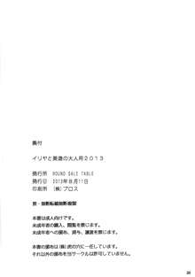 イリヤと美遊の大人用2013, 日本語