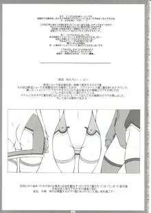 Strike Witches no Ecchi na Hon VER.2, 日本語