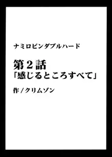 航海総集編2, 日本語