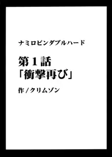 航海総集編2, 日本語