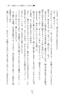 おねショタ！ 弟のお世話はお姉ちゃんにお任せ, 日本語