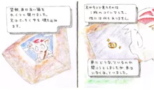 風呂ノ絵本, 日本語