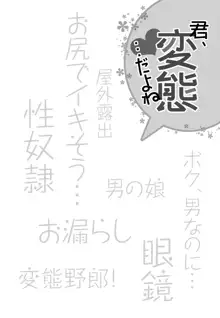 君、変態…だよね, 日本語