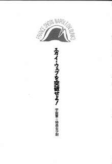 スカイ・ウェブを突破せよ!, 日本語