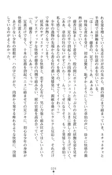 気高き妖狐は悦獄に堕つ, 日本語