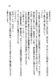 橘さん家ノ男性事情 + とらのあな特典メッセージペーパー, 日本語