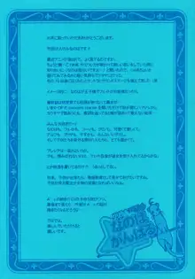 リリカルマジカル なのはがんばる, 日本語