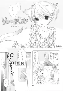 HONEY CATS, 日本語