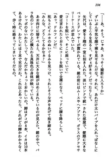 マーメイド☆プリンセス 南の海より愛をこめて！, 日本語