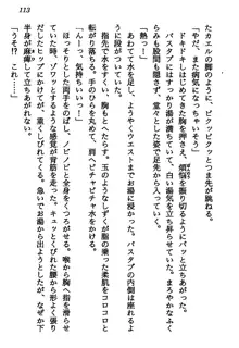 マーメイド☆プリンセス 南の海より愛をこめて！, 日本語