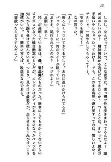 マーメイド☆プリンセス 南の海より愛をこめて！, 日本語