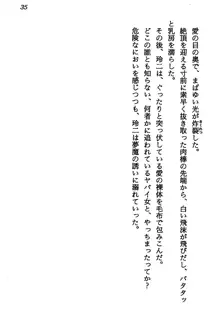 マーメイド☆プリンセス 南の海より愛をこめて！, 日本語