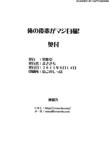 俺の後輩がマジ白猫!, 日本語