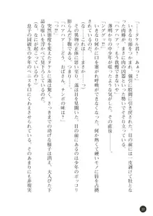 熟母略奪 息子の前で犯されて, 日本語