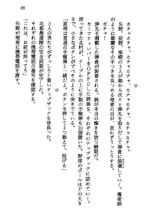 電脳エンジェル！ 天使の微笑が夢を殺す, 日本語