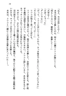 電脳エンジェル！ 天使の微笑が夢を殺す, 日本語