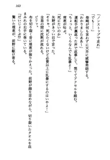 電脳エンジェル！ 天使の微笑が夢を殺す, 日本語