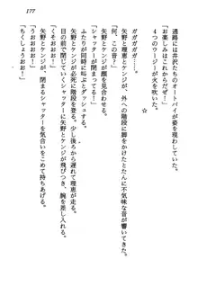 電脳エンジェル！ 天使の微笑が夢を殺す, 日本語