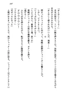 電脳エンジェル！ 天使の微笑が夢を殺す, 日本語