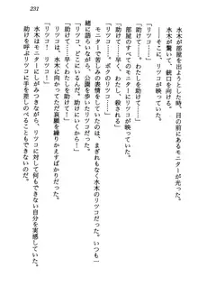 電脳エンジェル！ 天使の微笑が夢を殺す, 日本語