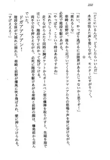 電脳エンジェル！ 天使の微笑が夢を殺す, 日本語