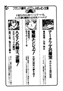 電脳エンジェル！ 天使の微笑が夢を殺す, 日本語