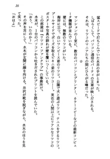 電脳エンジェル！ 天使の微笑が夢を殺す, 日本語