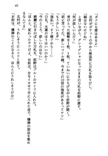 電脳エンジェル！ 天使の微笑が夢を殺す, 日本語