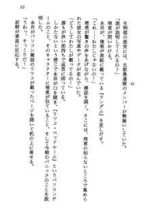 電脳エンジェル！ 天使の微笑が夢を殺す, 日本語