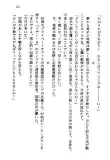 電脳エンジェル！ 天使の微笑が夢を殺す, 日本語