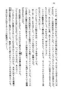 電脳エンジェル！ 天使の微笑が夢を殺す, 日本語