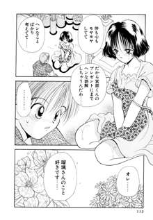 オレンジ色の花, 日本語