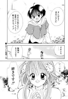 オレンジ色の花, 日本語