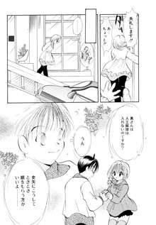 オレンジ色の花, 日本語