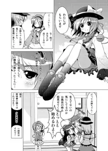 博麗霊夢の天下とったるで！, 日本語