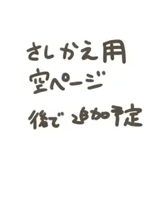 乙嫁 アミルさんいじめ, 日本語