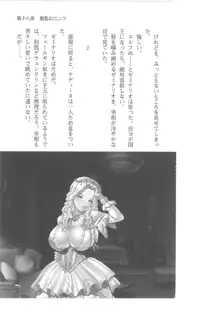 巨乳ファンタジー2 貴乳争乱篇, 日本語