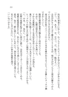 生徒会長は俺の嫁！？！？, 日本語