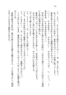 生徒会長は俺の嫁！？！？, 日本語