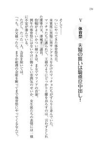 生徒会長は俺の嫁！？！？, 日本語