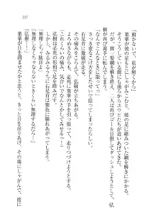 生徒会長は俺の嫁！？！？, 日本語