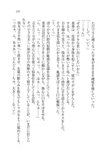 生徒会長は俺の嫁！？！？, 日本語